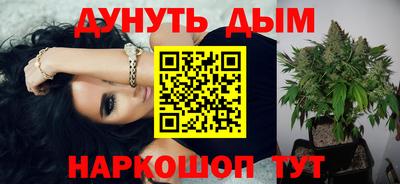 МДПВ Новозыбков