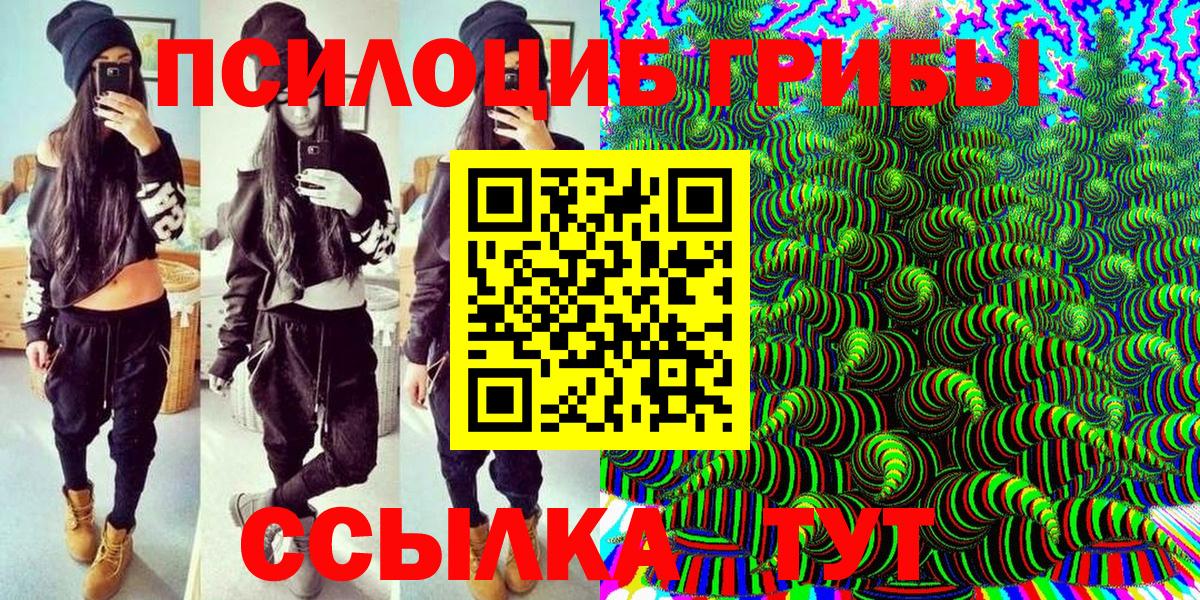 Псилоцибиновые грибы мицелий Сунжа